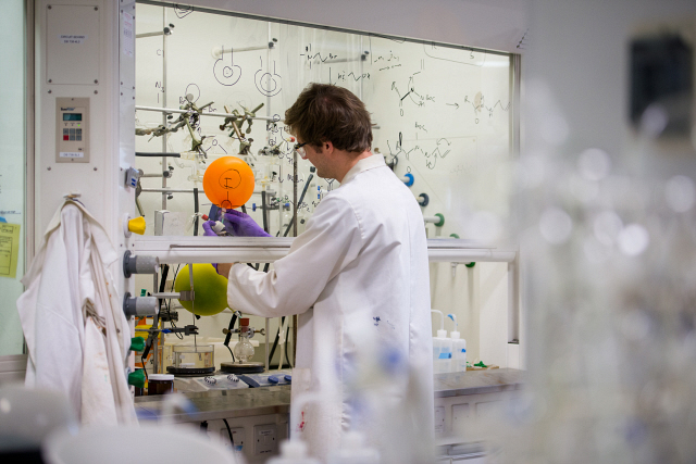Student working in the lab
